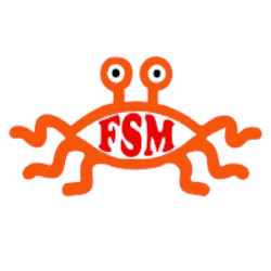 fsm